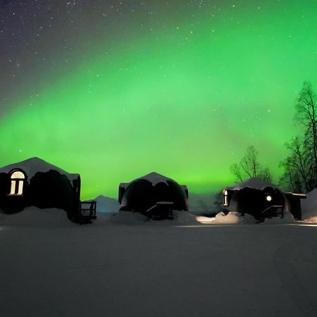 Talkeetna Aerie Adventure Lodge Eksteriør billede